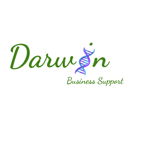 Darwin Business Support