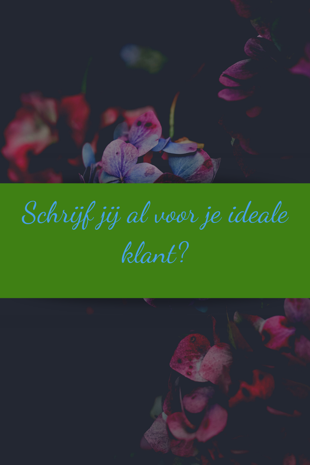 Schrijf jij al voor je ideale klant?